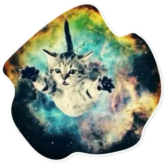 ❤ 503e1a90 kucing, galaksi, luar angkasa, anak kucing, bintang, hewan telegram sticker
