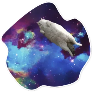 Space Cats @stickersb2b telegram stickers