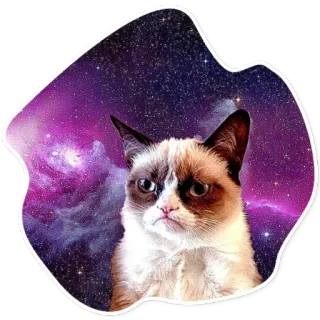 😾 6d764201 Grumpy Cat kucing, pemarah, galaksi, meme, lucu, hewan telegram sticker