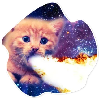🔥 9991729f kucing, anak kucing, api, galaksi, luar angkasa, imut, stiker telegram sticker
