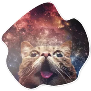 😳 c08c003c kucing, galaksi, hewan, hewan peliharaan, imut, lidah, luar angkasa telegram sticker
