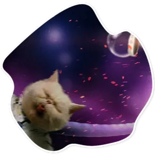 😋 ed4b8ee6 kucing, binatang, hewan peliharaan, lucu, kocak, anak kucing telegram sticker