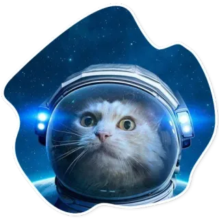 🌎 ef51b58e kucing, astronaut, luar angkasa, helm, hewan, peliharaan, anak kucing, angkasa luar telegram sticker
