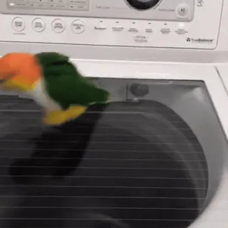 🧺 c6682e17 whatsapp sticker