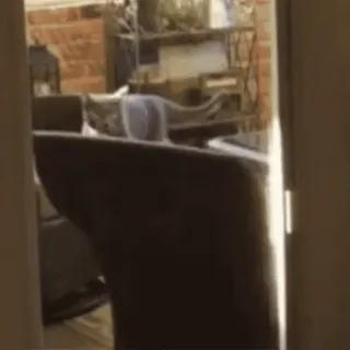 🐱 e9627004 whatsapp sticker