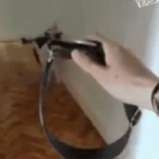 🦮 ff7155a3 whatsapp sticker