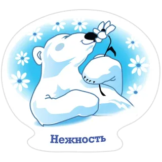 😘 405c57f0 Нежность polar bear, flower, tenderness, animal, cute, sticker, bear, white whatsapp sticker