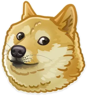 🐶 bd7a50e1 Doge Meme, Chien, Animal, Doge, Internet telegram sticker