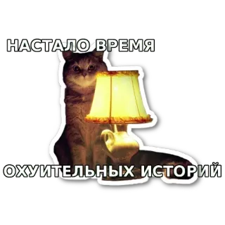 🐈 c17ac9dd НАСТАЛО ВРЕМЯ ОХУИТЕЛЬНЫХ ИСТОРИЙ chat, lampe, drôle, histoire telegram sticker