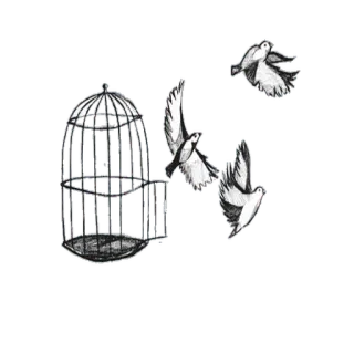 🐣 7c813593 pássaros, gaiola, liberdade, voo, gaiola, animais, natureza telegram sticker
