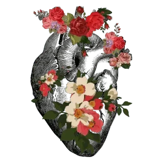 🌸 966e37cd flores, rosas, floral, buquê, jardim, flor telegram sticker