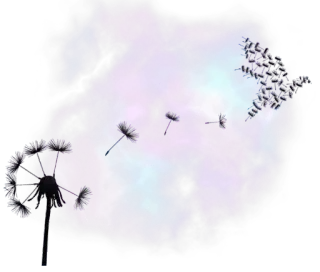 〰 d35f9540 dente de leão, flor, roxo, azul, galáxia, cosmos, natureza telegram sticker