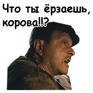 😖 81c584fe Что ты ёрзаешь, корова!!? russisch, beleidigung, kuh, mann, phrase telegram sticker