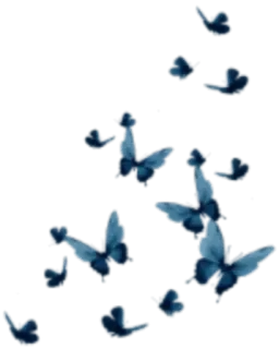 🌀 6259357a kupu-kupu, biru, terbang, serangga, alam whatsapp sticker