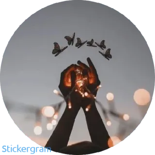 🦋 9962537c tangan, kupu-kupu, lampu, spiritual, damai, langit, bokeh whatsapp sticker