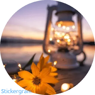 ✨ ed6ff7a0 Stickerground bunga, lampion, alam, matahari terbenam, cahaya, tenang, dekorasi whatsapp sticker