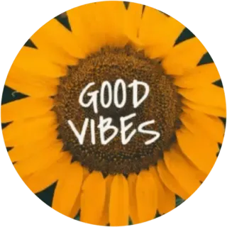 🌻 f3aec4d9 GOOD VIBES bunga matahari, aura positif, positif, bunga, kuning, ceria, optimis whatsapp sticker