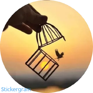 🕊 f80da5b1 Stickergram burung, kebebasan, kandang, terbuka, pelarian, matahari terbenam, siluet, alam whatsapp sticker