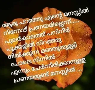 💌 fa867f96 ആരു പറഞ്ഞു എന്റെ മനസ്സിൽ നിന്നോട് പ്രണയമില്ലെന്ന്..... പുലർകാലത്ത് പനിനീർ പൂക്കളിൽ നിറഞ്ഞു നിൽക്കുന്ന മഞ്ഞുതുള്ളി പോലെ നിന്നിൽ എന്നും ചേർന്നിരിക്കാനുള്ള പ്രണയമുണ്ട് മനസ്സിൽ rosa, amor, poema, malayalam, romántico telegram sticker