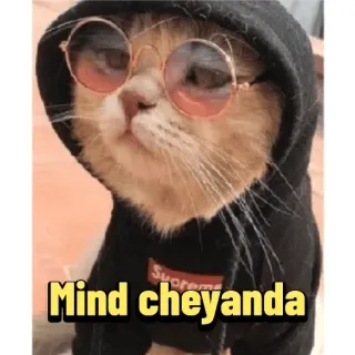 😏 0aeb95cd Mind cheyanda кот, очки, худи, supreme, мем whatsapp sticker