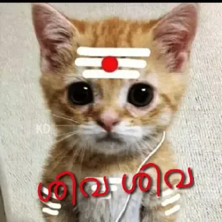 😂 1109f276 ശ്രീവ ശിവ кот, индуизм, религия, традиционный, наклейка whatsapp sticker
