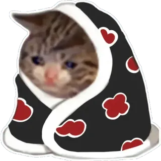 🥺 3fc325e4 кот, грустный, Акацуки, облака, мантия whatsapp sticker