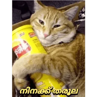 😏 568714e8 നിനക്ക് തരൂല кот, смешной, мем, животное, милый whatsapp sticker