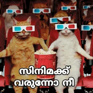 😂 5b128797 സിനിമയ്ക്ക് വരുമോ നീ животные, кот, собака, кино, 3D, попкорн whatsapp sticker