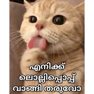 😋 5be04b88 എനിക്ക് ലോലിപോപ്പ് വാങ്ങി തരുമോ кот, леденец, милый, животное, язык whatsapp sticker
