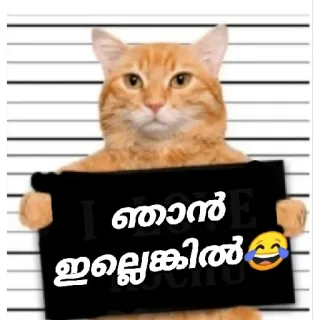 😂 86f6d798 ഞാന് ഇല്യങ്കില് кот, тюрьма, мем whatsapp sticker