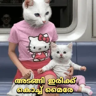 😂 ba75233f ആടങ്ങി ഇരിക്ക് കൊച്ച് മൈരേ кот, Hello Kitty, животное, милый, смешной whatsapp sticker