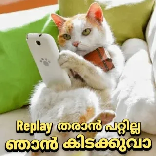 😏 c63b1666 Replay തരാൻ പറ്റില്ല ഞാന് കിടക്കുകയാ кот, телефон, лежащий, расслабленный whatsapp sticker
