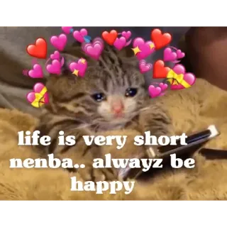 🥺 c9b29a5c life is very short nenba.. alwayz be happy кот, грустный, сердечки, котенок, сообщение, жизнь whatsapp sticker