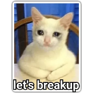 🥺 ec2cf949 let's breakup кот, грустный, расставание, мем, животное whatsapp sticker