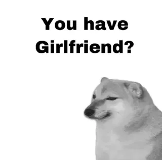 😂 21b570de You have Girlfriend? chó, meme, bạn gái, câu hỏi, hài hước whatsapp sticker