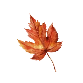 🍂 3c5a4f3a daun, musim gugur, musim gugur, cat air, alam, tanaman whatsapp sticker