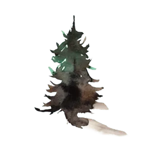 🌫 83cb86d7 pohon, natal, musim dingin, alam, hijau abadi whatsapp sticker