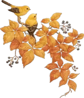 🐤 cf9bfcce burung, alam, daun, musim gugur, musim gugur whatsapp sticker