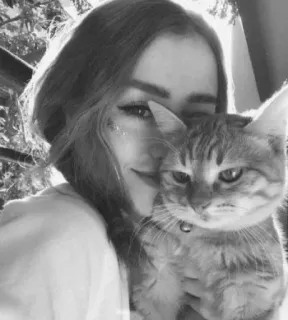 😽 1dd0bab4 женщина, кот, питомец, животное, домашнее животное, монохромный whatsapp sticker