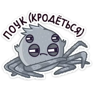 Паучок Фаззи @TgSticker whatsapp stickers