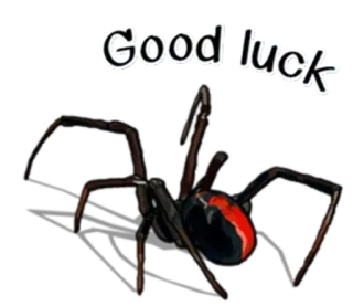 Spiders Time @stickersb2b telegram stickers