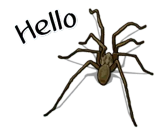 😢 3793180d Hello pająk, pajęczak, owad, straszny, zwierzę telegram sticker