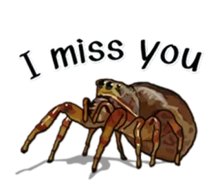 Spiders Time @stickersb2b whatsapp stickers