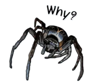 😮 6eb8c1b1 Why? pająk, pytanie, pajęczak, owad, zwierzę telegram sticker
