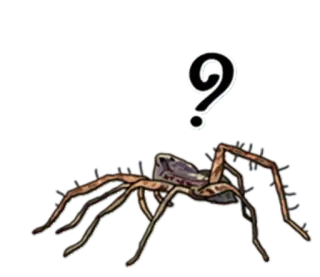 😡 7fd0bcb6 pająk, pytanie, pajęczak, robak telegram sticker