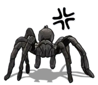 😮 89ee77c7 pająk, pajęczak, owad, zwierzę, przerażający, zły telegram sticker