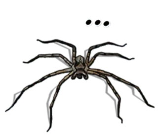 Spiders Time @stickersb2b telegram stickers