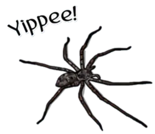 😡 b8d70b2f Yippee! pająk, owad, hura, pajęczak, straszny telegram sticker
