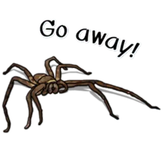 😮 bc3a5ef5 Go away! pająk, pajęczak, owad, straszny, robak telegram sticker