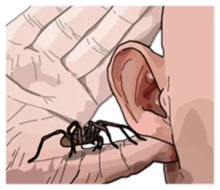 😦 c28a020d pająk, ucho, ręka, straszny, owad telegram sticker